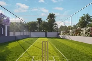 Home imgi 15 cricket pitch